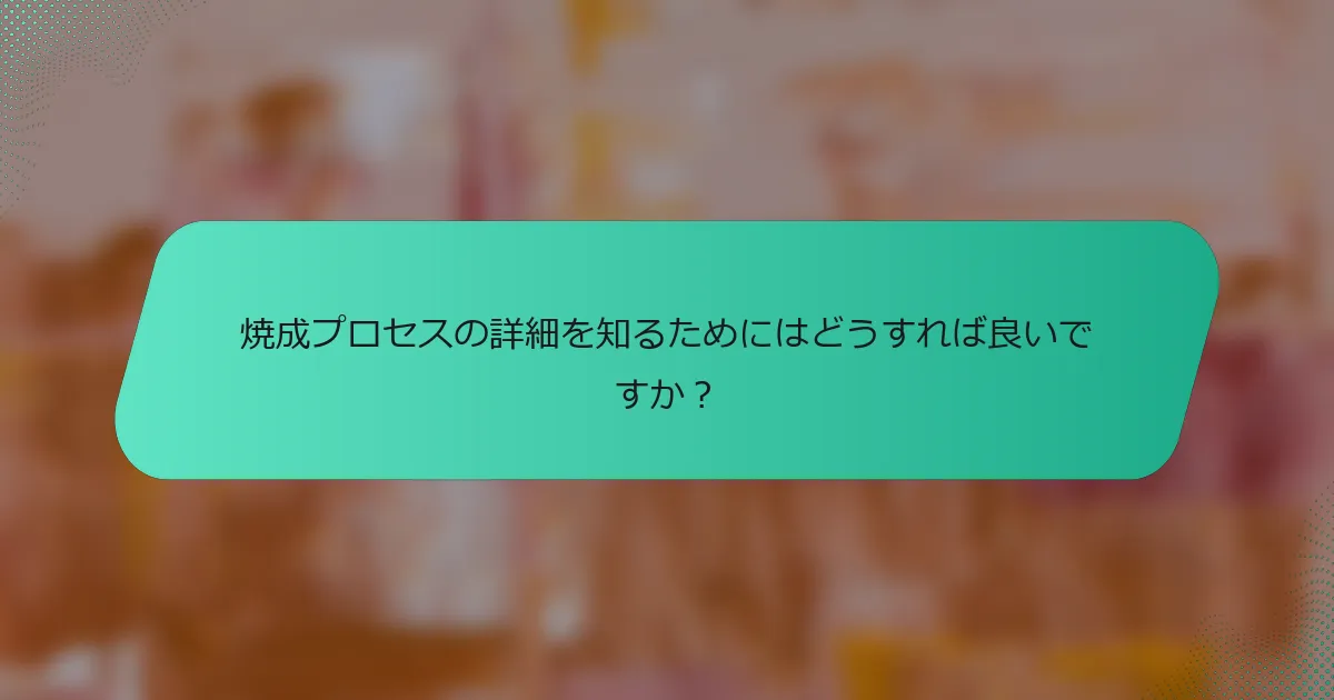 焼成プロセスの詳細を知るためにはどうすれば良いですか？